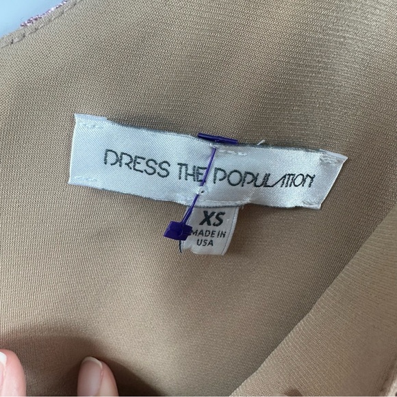 Dress the Population Audrey Dress XS  Pink 3D Floral Lace Plunge Fairycore Midi - Picture 4 of 13